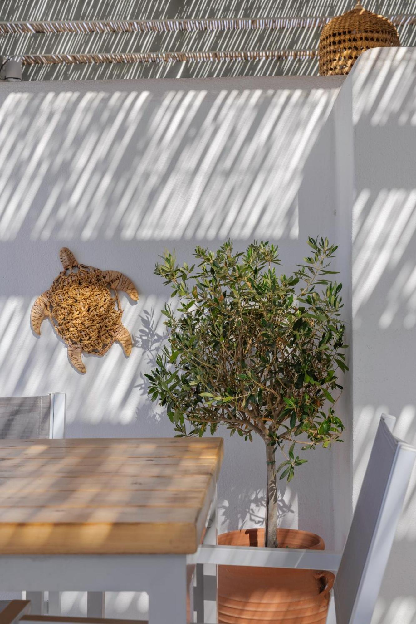 Thalassa Naxos Кастраки Экстерьер фото