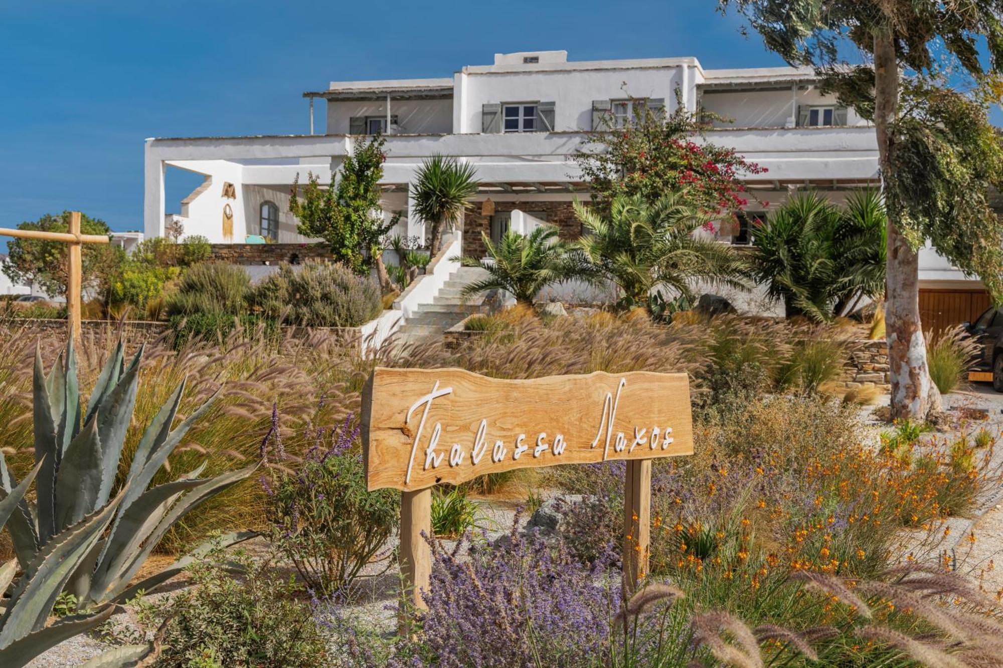 Thalassa Naxos Кастраки Экстерьер фото
